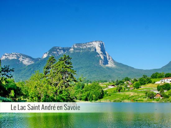 La Tomme de Savoie IGP