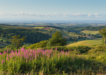 La Course au fromage en Angleterre : le Cheese Rolling