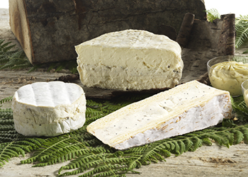 Plateau de spécialités de fromages à la truffe
