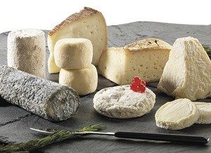 fromages-de-chevre-plateau.jpg